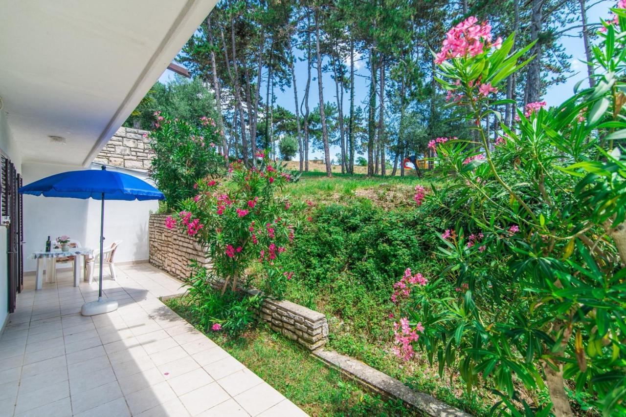 Apartments Pino Rabac Kültér fotó